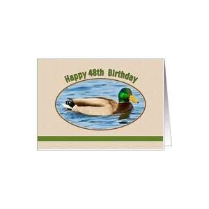 48th Birthday Card with Mallard Duck Card  Toys & Games  
