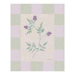  Lavender & Sage III (Canv)    Print