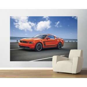  2012 Ford Mustang Boss 302 Easy Up Mural Competition 