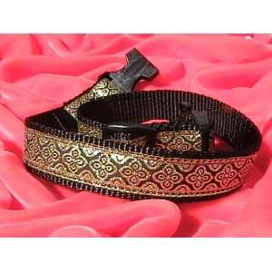  Yes My Pet Giotto Designer Dog Collar 1 Wide Made in 