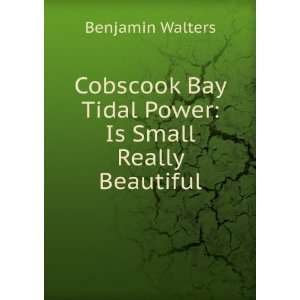  Cobscook Bay Tidal Power Is Small Really Beautiful 