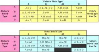 Paternity_Blood_type_Chart