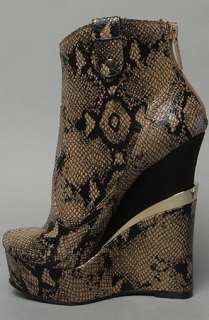 Sole Boutique The Campbell Boot in Tan Snake  Karmaloop   Global 