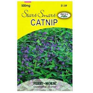 Ferry Morse Catnip Seed 8079 
