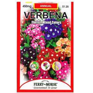 Ferry Morse Verbena Florist Seed 8073 
