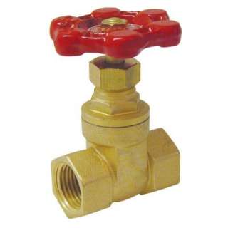 Mueller Global 1/2 in. Brass FPT Gate Valve 100 403NL at The Home 