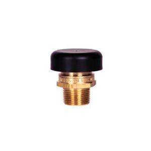   In. Brass MPT Water Service Vacuum Relief Valve N36 