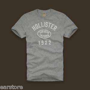 NWT Hollister Men Big Dume Graphic T Shirt Heather Grey  