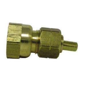   Brass Compression X FPT Coupling With Insert A 218 