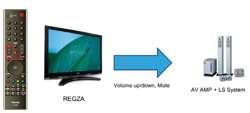 Toshiba 46 ZF 355 DG LCD Fernseher 46 Zoll / 117 cm 100 Hz 169 Full 