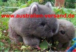 wombat stofftier Harry australien 23 cm  