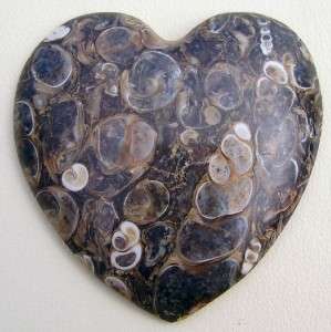 Turritella Jasper Fossil Snail Shell Heart Cab Pendant  