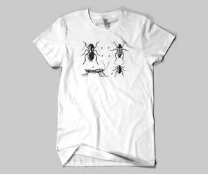 Common Cockroach   Insect Sketch T Shirt  
