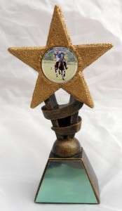 POLO STAR TROPHY INCLUDING ENGRAVING Equestrian NEW  