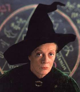 Harry Potter Professor McGonagall Deluxe Wizard Hat  