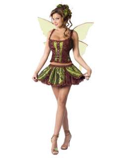 Sexy Womens Enchanting Fairy Costume  Sexy Fairy Halloween Costumes