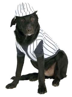 Baseball Player Dog Costume   Dog Costumes