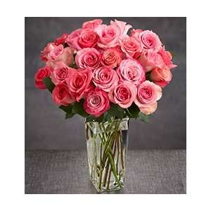 Flowers by 1800Flowers   Pink Rose Grocery & Gourmet Food