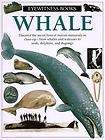 Lot Eyewitness Books Whale Large Hardcover School/Teacher​s 