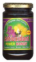 Raw Antioxidant Power Honey by Y.S. Organic Bee Farms 13oz Paste 