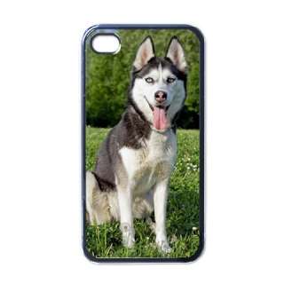 HUSKY DOG COVER CASE FOR APPLE IPHONE 4 MOBILE PHONE  