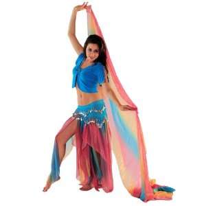 Belly Dance Skirt Top & Hip Scarf Costume Set  Bollywood Meets 