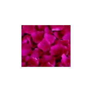 Black Raspberry Vanilla (BB&W) Type Fuschia Colored Scented Silk Rose 