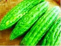 HEALING* Bitter Melon Canton Green Vegie 10seeds RARE  