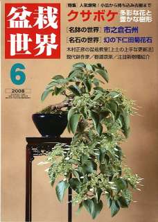 Bonsai Sekai Magazine #558 Japanese Bonsai Book  