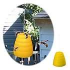 bee trap  