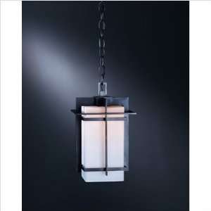  Tourou One Light Outdoor Ceiling Fixture Finish Opaque 