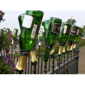  Russia, Champagne Bottles on Fence in Garden, St 