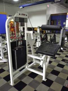 Life Fitness Pro Low Back Core Fitness Workout Strength Studio Gym 