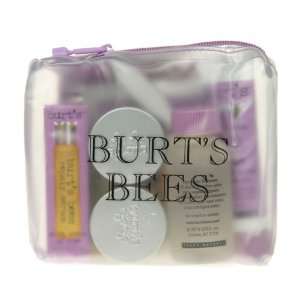  Burts Bees Healthy Treatment Facial Care Kit Beauty