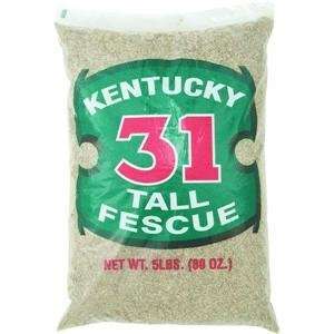   USA 16205 Kentucky 31 Tall Fescue Grass Seed Patio, Lawn & Garden