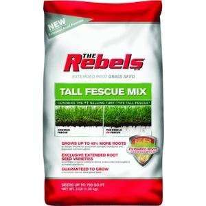   Seed Inc 100081768 REBELS Tall Fescue Mixture Patio, Lawn & Garden