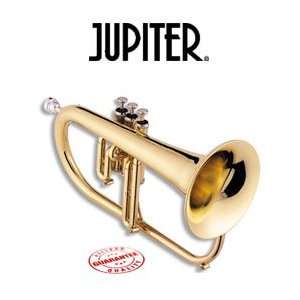    Jupiter Intermediate Bb Flugelhorn 846L Musical Instruments