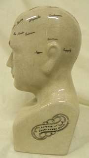 Medium Porcelain Psychology Scientific Phrenology Head  