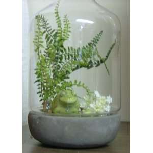  Frogs in the Forest Glass Bell Jar Cloche with Terra Cotta 