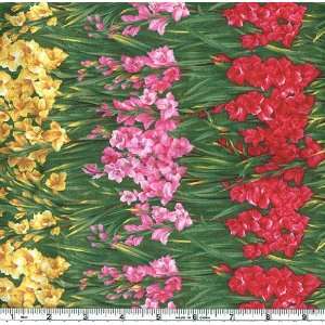  45 Wide Flower of the Month August 07 Gladiola Stripes 