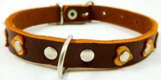 Brown 8 10 Genuine Leather Studs Dog Collar Small  