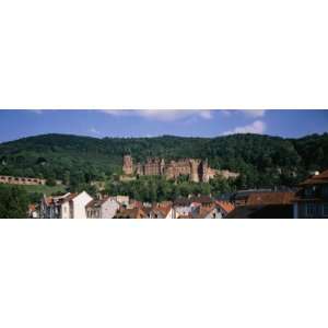 Castle and Houses on a Hillside, Heidelberg, Baden Wurttemberg 