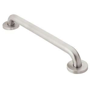   Stainless Steel Peened   R8724P Moen HomeCare