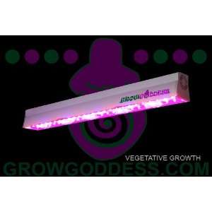  LED Grow Light Grow Goddess 600 Vegetative Everything 