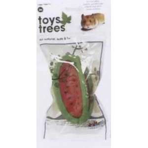   JW Pet Small Animal Chew Toy From Trees Watermelon Large 2 Pieces Pet