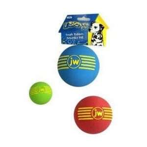   JW Pet iSqueak Rubber Ball Dog Chew Toy large  4 diameter Pet