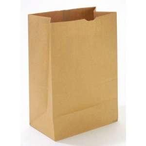  Kraft Paper Bag in Brown