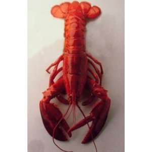     Live Lobster Two 1.34  2 lbs.  Grocery & Gourmet Food