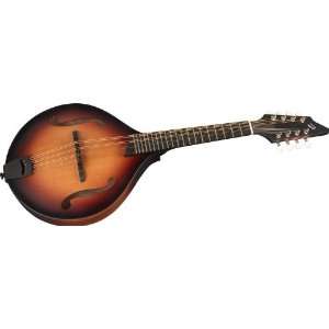    Breedlove American Series Of Mandolin Sunburst Musical Instruments