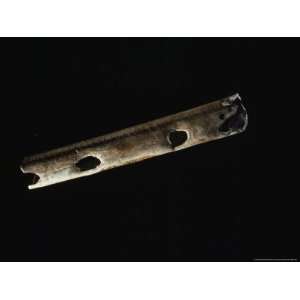  A 25,000 Year Old Bird Bone Flute is Among the Earliest 